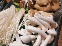 -同仁四季椰子鸡(宝安壹方城店)