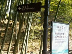 -藏龙百瀑风景区