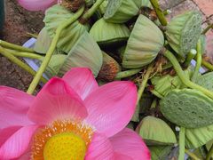 -镜泊小镇(东长安街店)