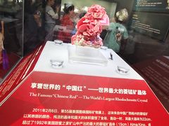 -湖南省地质博物馆