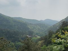 -木兰云雾山