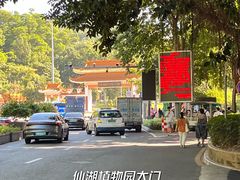 -深圳仙湖植物园