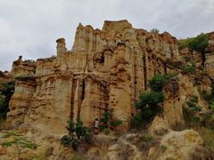 -元谋土林景区(物茂土林)