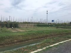 -田园东方蜜桃村的田野营地