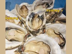 -千岛蚝高压锅生蚝·人参火锅(白云万达店)