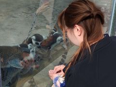 -水上乐园·欢乐世界