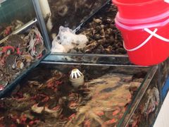 -港畔赶海蒸汽海鲜烧烤自助(仙螺岛店)