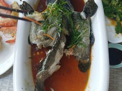 -欢乐海岸美食联盟