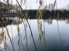 -江南大学(蠡湖校区)