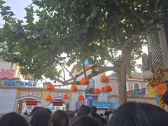 -青岛方特梦幻王国