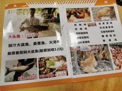 -龙回山庄