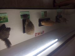 iphone_upload_pic-下渚湖国家湿地公园科普馆