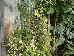 -国家植物园南园