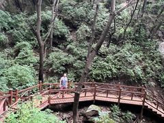 -大岭沟猕猴桃谷风景区