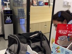 -凯特喵百思猫专科医院