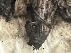 -御面斋精品面馆