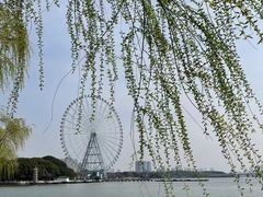 -无锡蠡湖国家湿地公园-蠡园