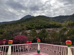 -安吉Hello Kitty乐园