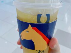 -春丽小马(济南恒隆广场店)