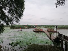 -洪湖生态旅游区