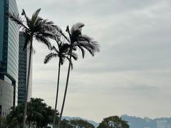 -香港皇家太平洋酒店