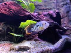 -上海海洋水族馆