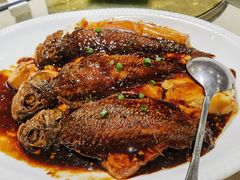 小黄鱼烧豆腐-老客站酒楼(金花南路店)