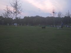 -羊山湖公园