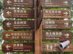 -中国科学院西双版纳热带植物园
