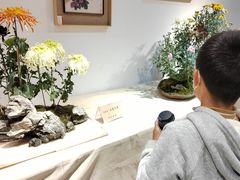 -汇龙潭