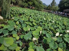 -韶山毛泽东同志故居