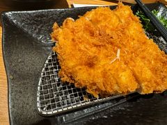 -胜博殿日式炸猪排(富力广场店)