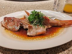 -佳丽海鲜大酒楼(环岛海景店)