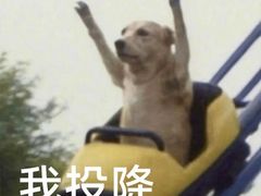 -老新隆牛肉锅贴(新街口店)