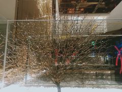 -红辣椒·川菜·火锅(科华路店)