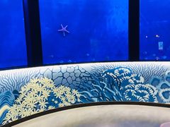 -沈阳海洋探索中心