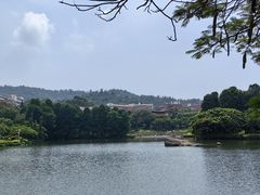 -厦门大学(思明校区)