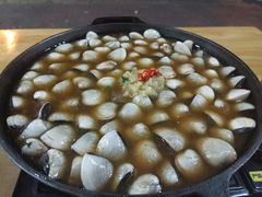 -顺德哥卜卜贝(旗舰店)