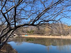 -黄村公园