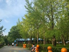 -黄兴公园