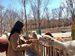 -水上乐园·欢乐世界