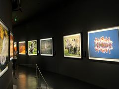 -罗红摄影艺术馆