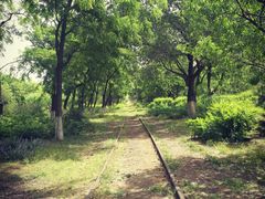 -永定河休闲森林公园