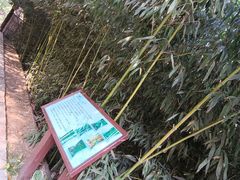-大连植物园