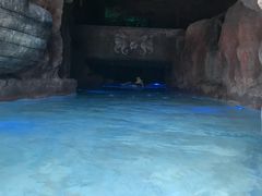 -新加坡水上探险乐园