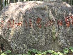 -上海醉白池公园