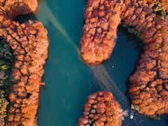 -上海海湾国家森林公园