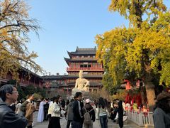 -清真·AL-JANNAT 佳纳特餐厅(狮子桥店)