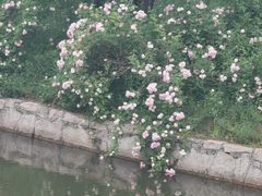 -苏州上方山国家森林公园