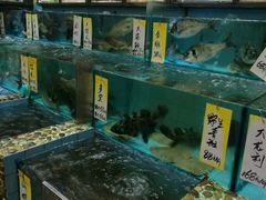 -有腥气私房菜·寻味顺德